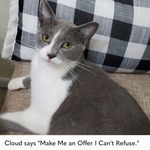 Just Polly Black and White Frayed Distressed Fringe Sweater, Size Large - Picture 9 of 9